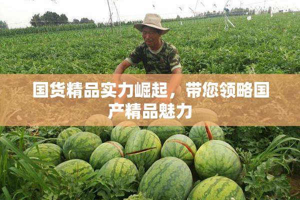 国货精品实力崛起，带您领略国产精品魅力