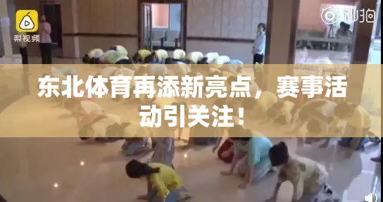 东北体育再添新亮点，赛事活动引关注！