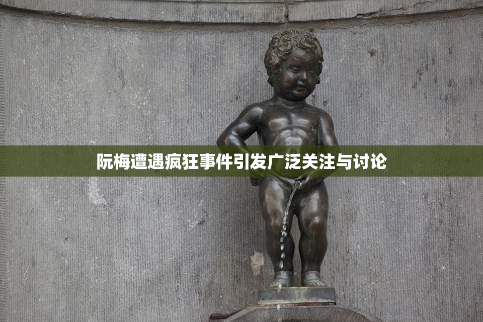 阮梅遭遇疯狂事件引发广泛关注与讨论