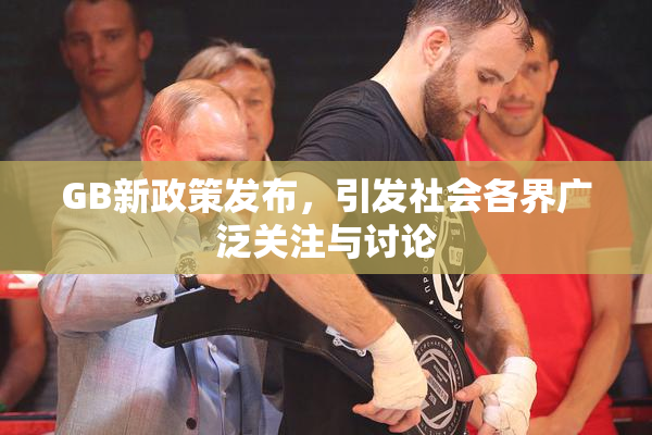 GB新政策发布，引发社会各界广泛关注与讨论