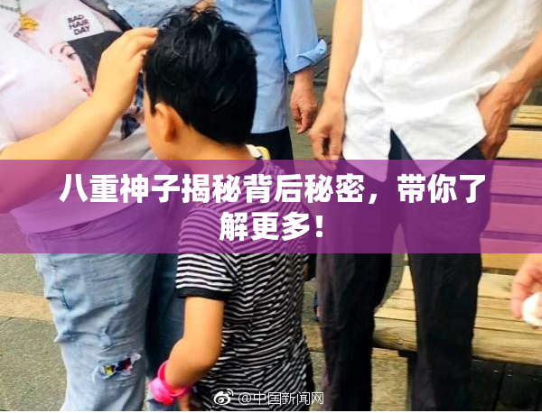 八重神子揭秘背后秘密，带你了解更多！