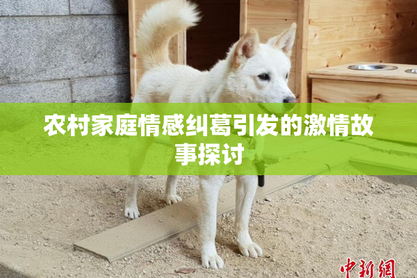 农村家庭情感纠葛引发的激情故事探讨