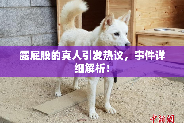 露屁股的真人引发热议，事件详细解析！