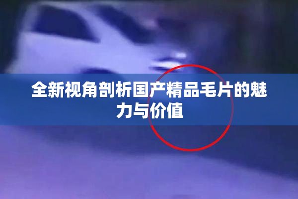 全新视角剖析国产精品毛片的魅力与价值