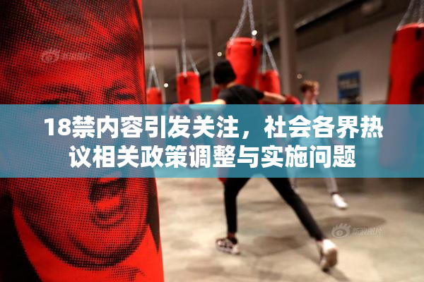 18禁内容引发关注，社会各界热议相关政策调整与实施问题