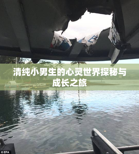 清纯小男生的心灵世界探秘与成长之旅
