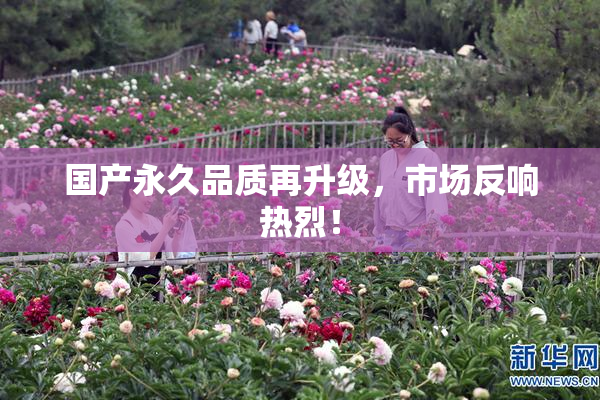 国产永久品质再升级，市场反响热烈！