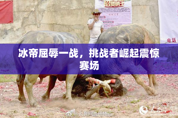 冰帝屈辱一战，挑战者崛起震惊赛场