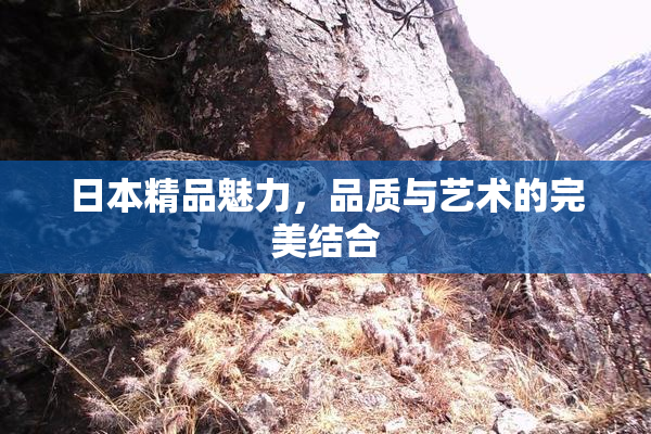 日本精品魅力，品质与艺术的完美结合