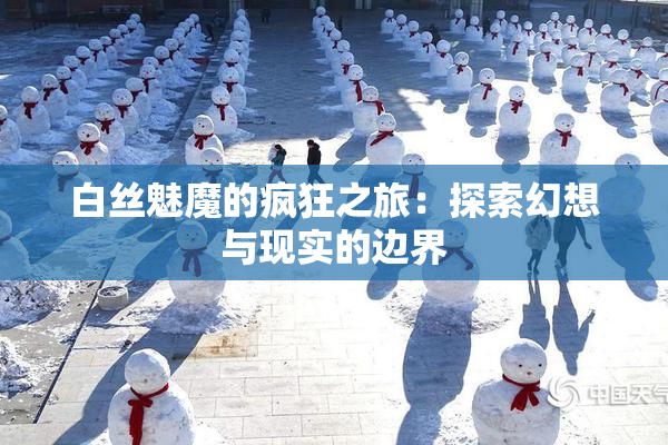 白丝魅魔的疯狂之旅：探索幻想与现实的边界