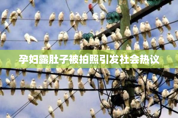 孕妇露肚子被拍照引发社会热议