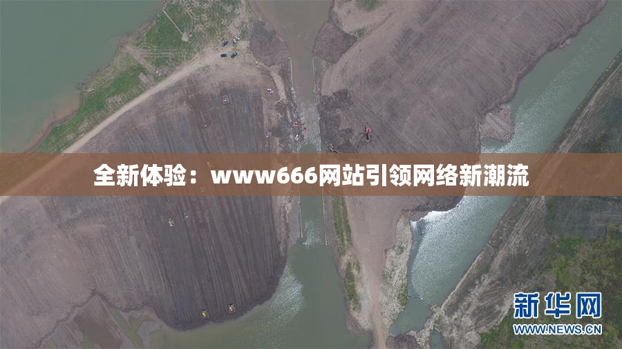全新体验：www666网站引领网络新潮流