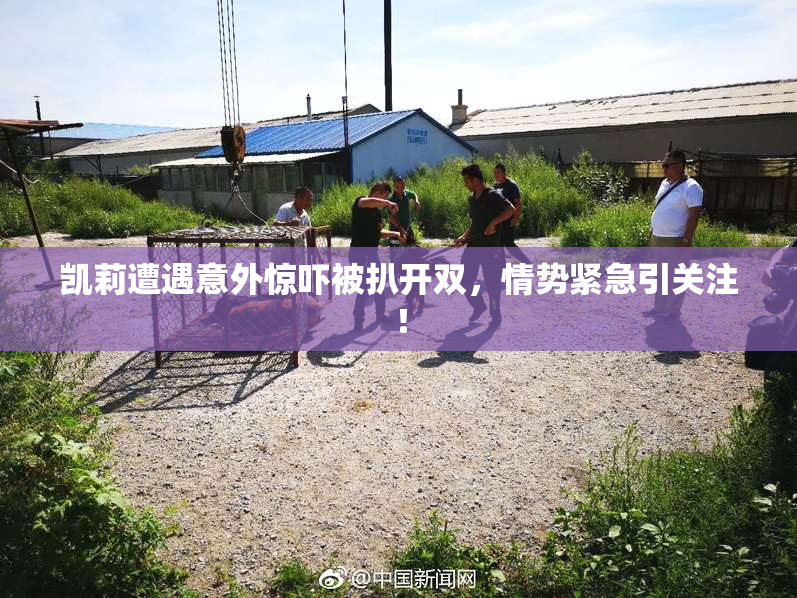 凯莉遭遇意外惊吓被扒开双，情势紧急引关注！