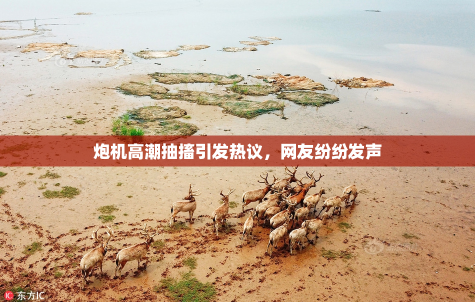 炮机高潮抽搐引发热议，网友纷纷发声