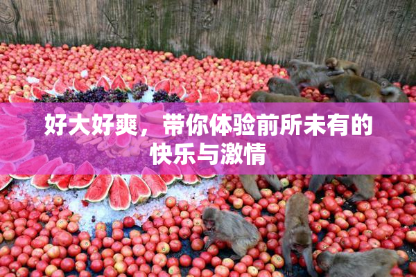 好大好爽，带你体验前所未有的快乐与激情