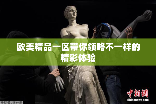 欧美精品一区带你领略不一样的精彩体验
