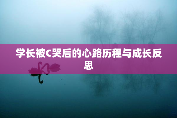 学长被C哭后的心路历程与成长反思