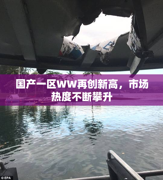 国产一区WW再创新高，市场热度不断攀升