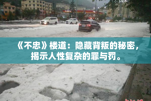 《不忠》楼道：隐藏背叛的秘密，揭示人性复杂的罪与罚。