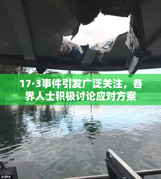 17·3事件引发广泛关注，各界人士积极讨论应对方案