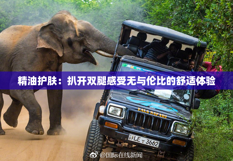 精油护肤：扒开双腿感受无与伦比的舒适体验