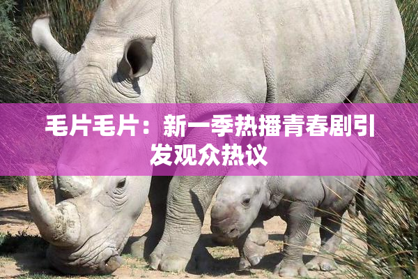 毛片毛片：新一季热播青春剧引发观众热议