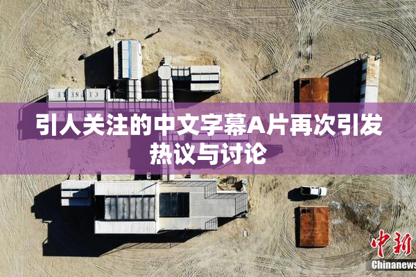 引人关注的中文字幕A片再次引发热议与讨论