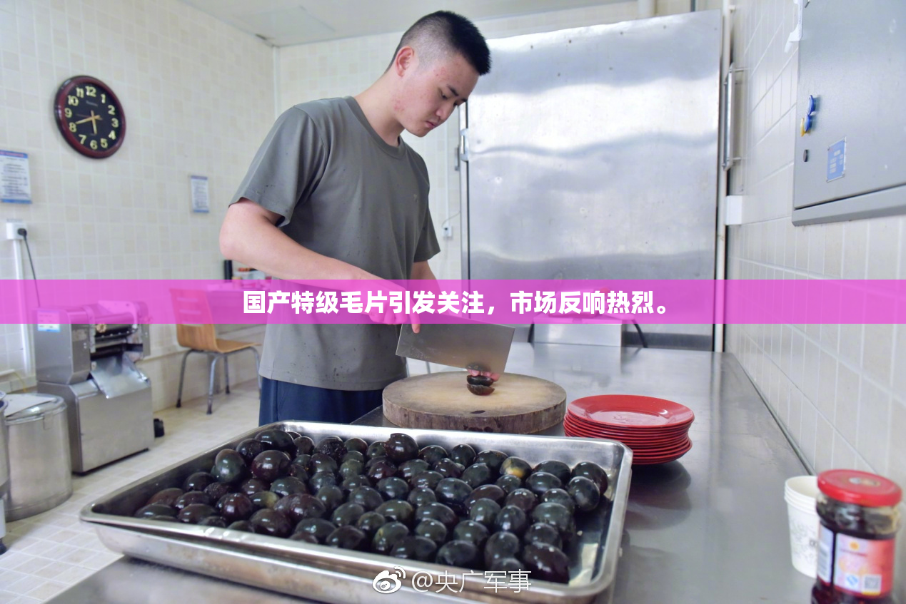 国产特级毛片引发关注，市场反响热烈。