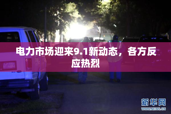 电力市场迎来9.1新动态，各方反应热烈