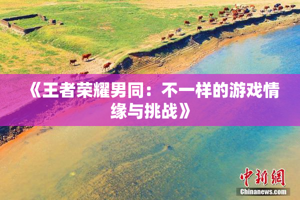 《王者荣耀男同：不一样的游戏情缘与挑战》