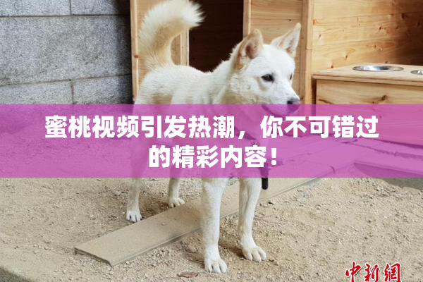 蜜桃视频引发热潮，你不可错过的精彩内容！