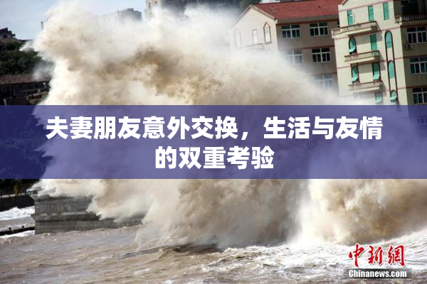 夫妻朋友意外交换，生活与友情的双重考验