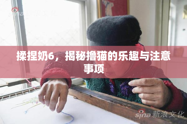揉捏奶6，揭秘撸猫的乐趣与注意事项