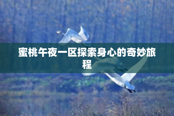 蜜桃午夜一区探索身心的奇妙旅程