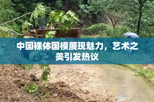 中国裸体国模展现魅力，艺术之美引发热议