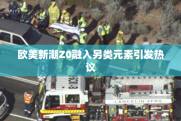 欧美新潮Z0融入另类元素引发热议