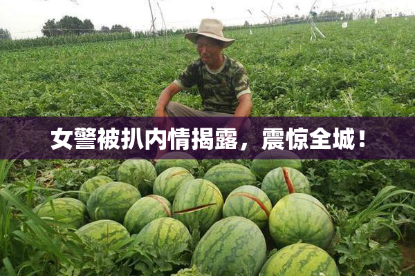 女警被扒内情揭露，震惊全城！