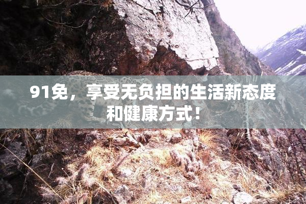 91免，享受无负担的生活新态度和健康方式！
