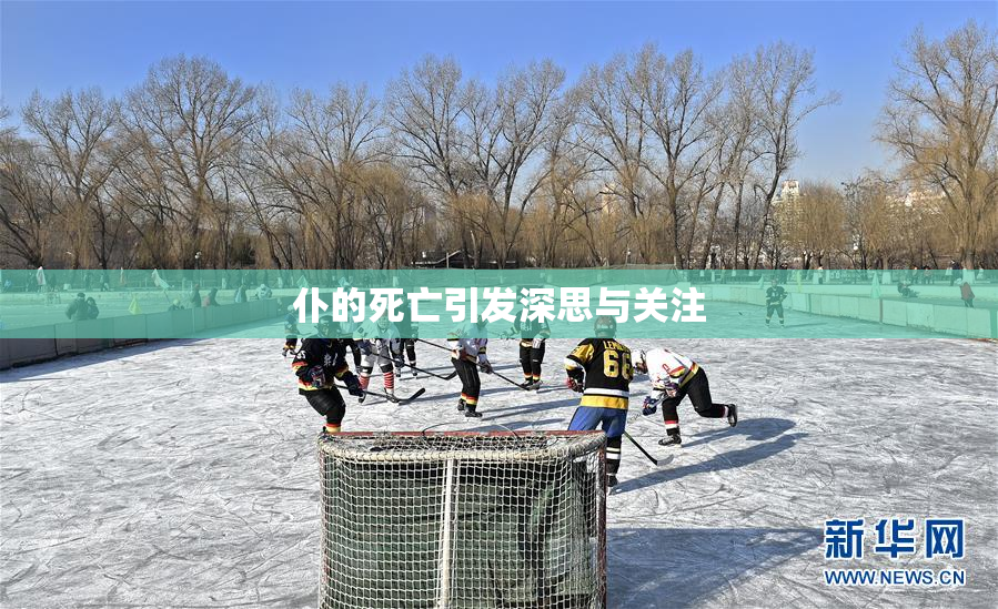 仆的死亡引发深思与关注
