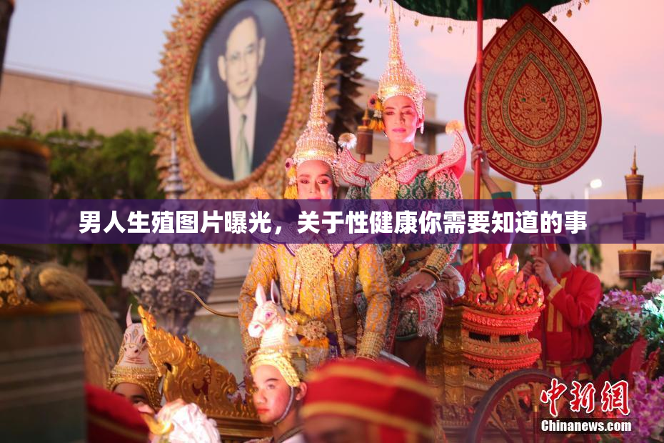 男人生殖图片曝光，关于性健康你需要知道的事