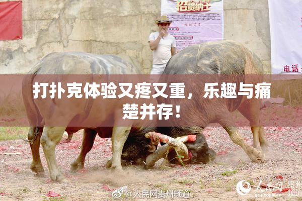 打扑克体验又疼又重，乐趣与痛楚并存！