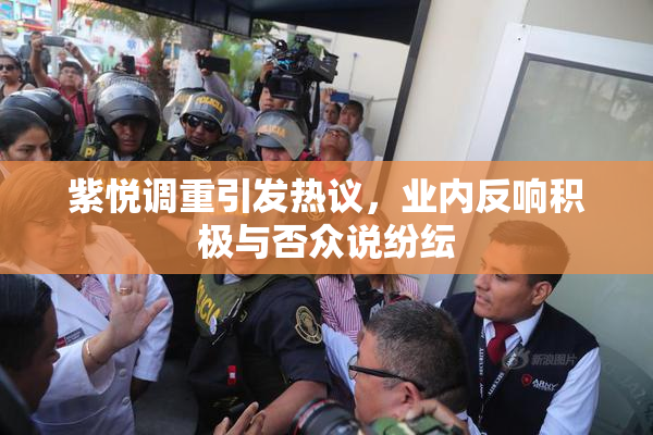紫悦调重引发热议，业内反响积极与否众说纷纭