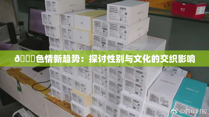 🔞色情新趋势：探讨性别与文化的交织影响