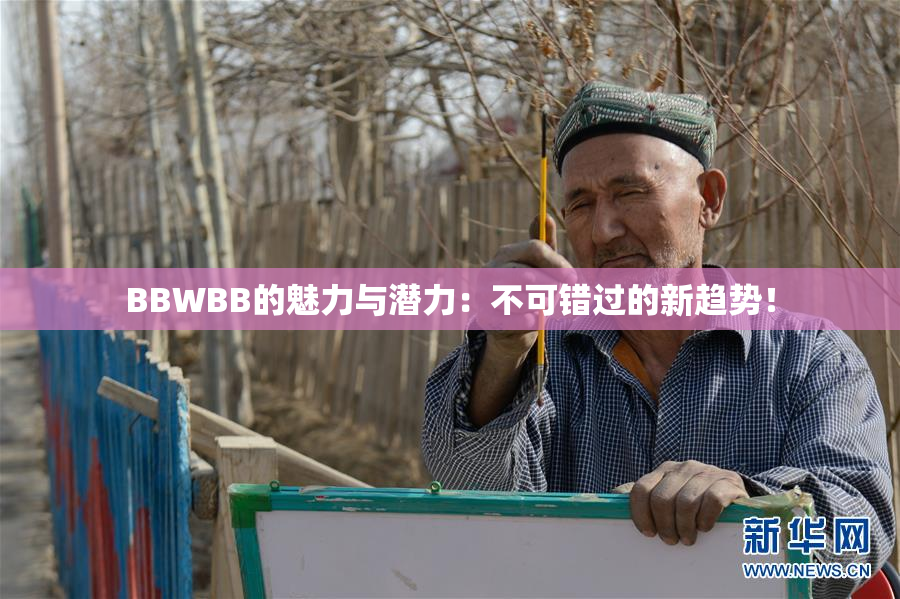 BBWBB的魅力与潜力：不可错过的新趋势！