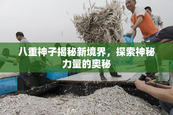 八重神子揭秘新境界，探索神秘力量的奥秘