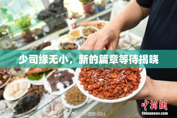 少司缘无小，新的篇章等待揭晓