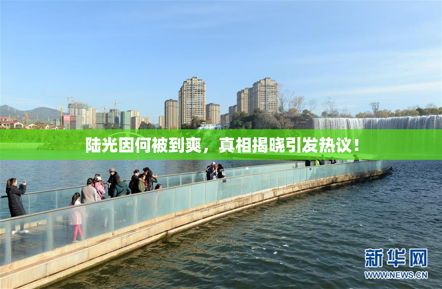 陆光因何被到爽，真相揭晓引发热议！