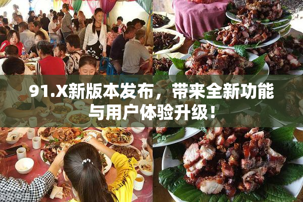 91.X新版本发布，带来全新功能与用户体验升级！