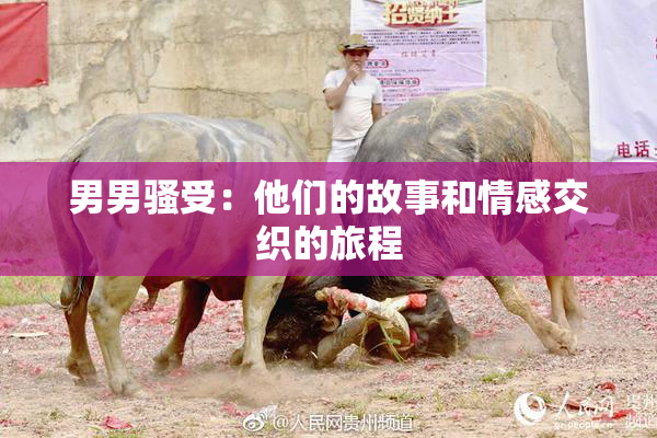 男男骚受：他们的故事和情感交织的旅程