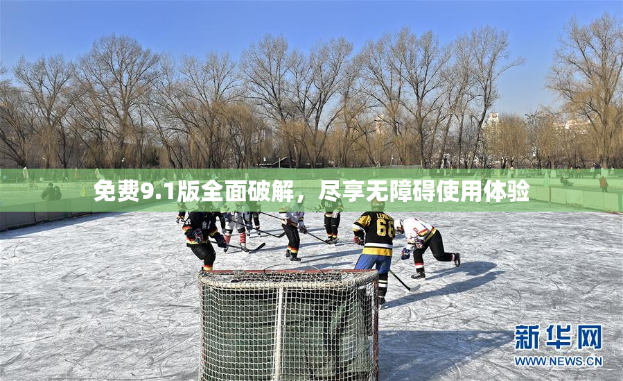 免费9.1版全面破解，尽享无障碍使用体验